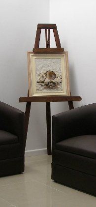 Oftalmología Integral