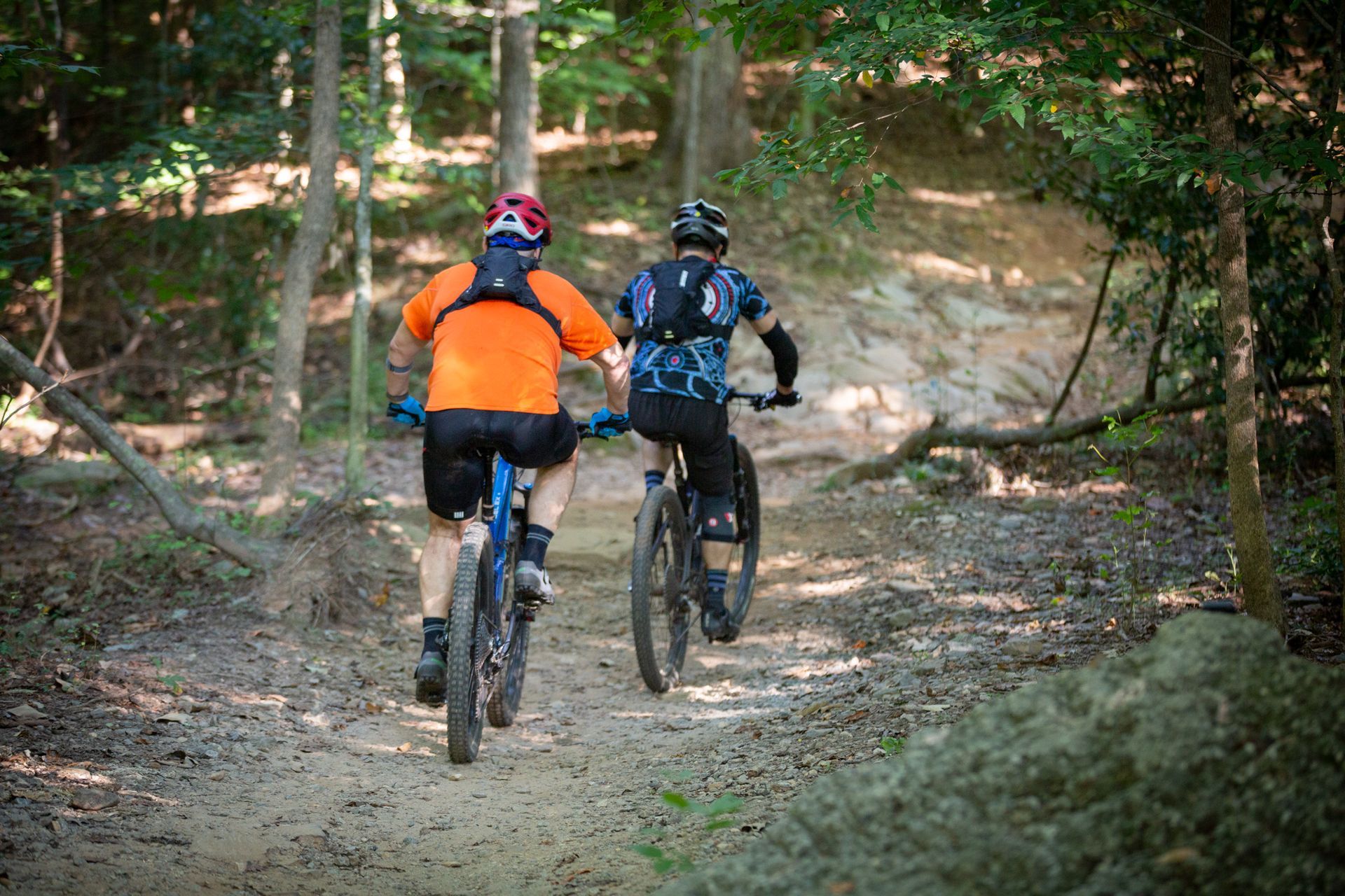 Two people are riding bikes down a dirt trail in the woods.
