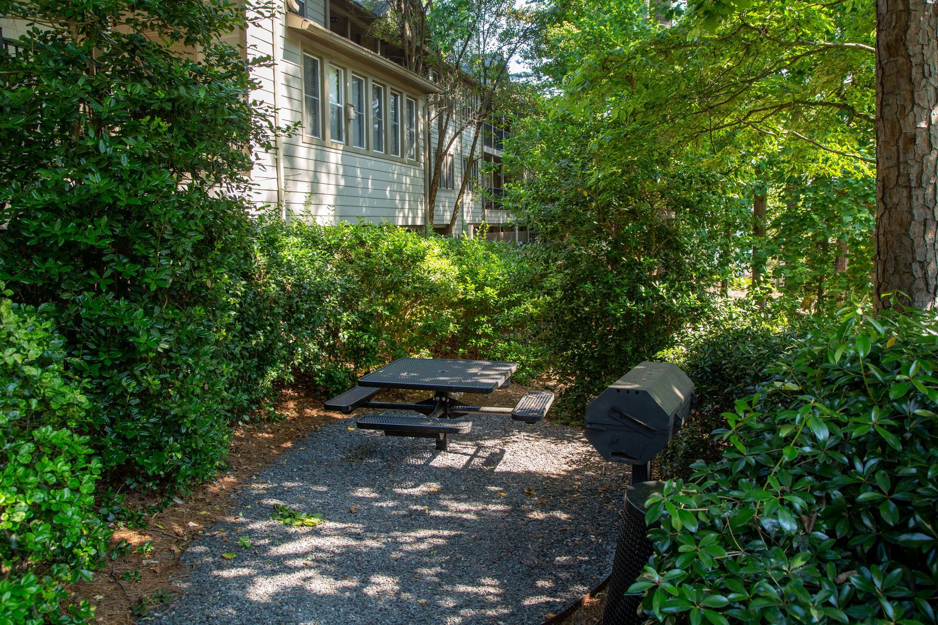 A picnic table and grill are in the woods in front of a house.