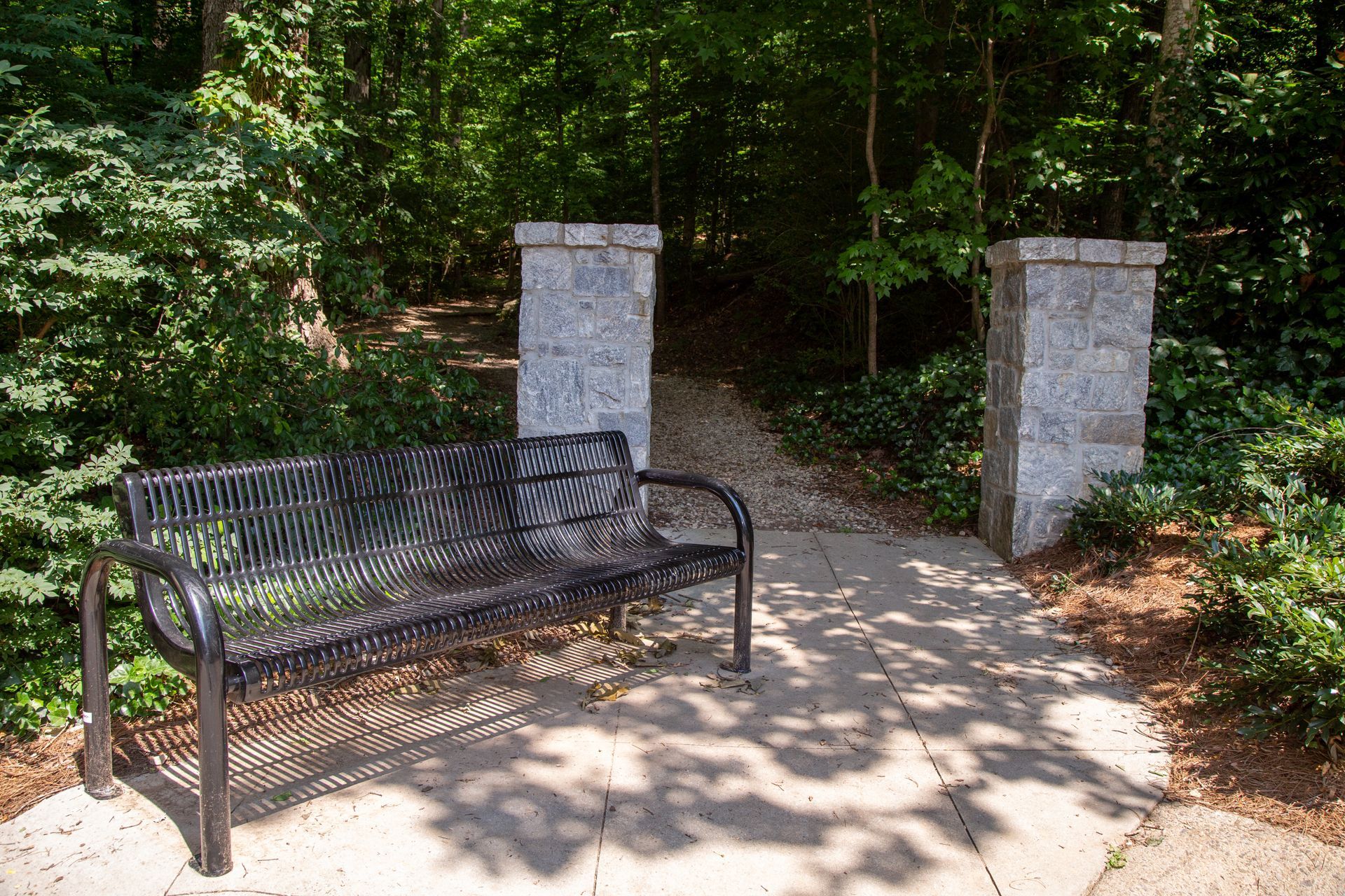 A park bench is sitting next to a path in the woods.