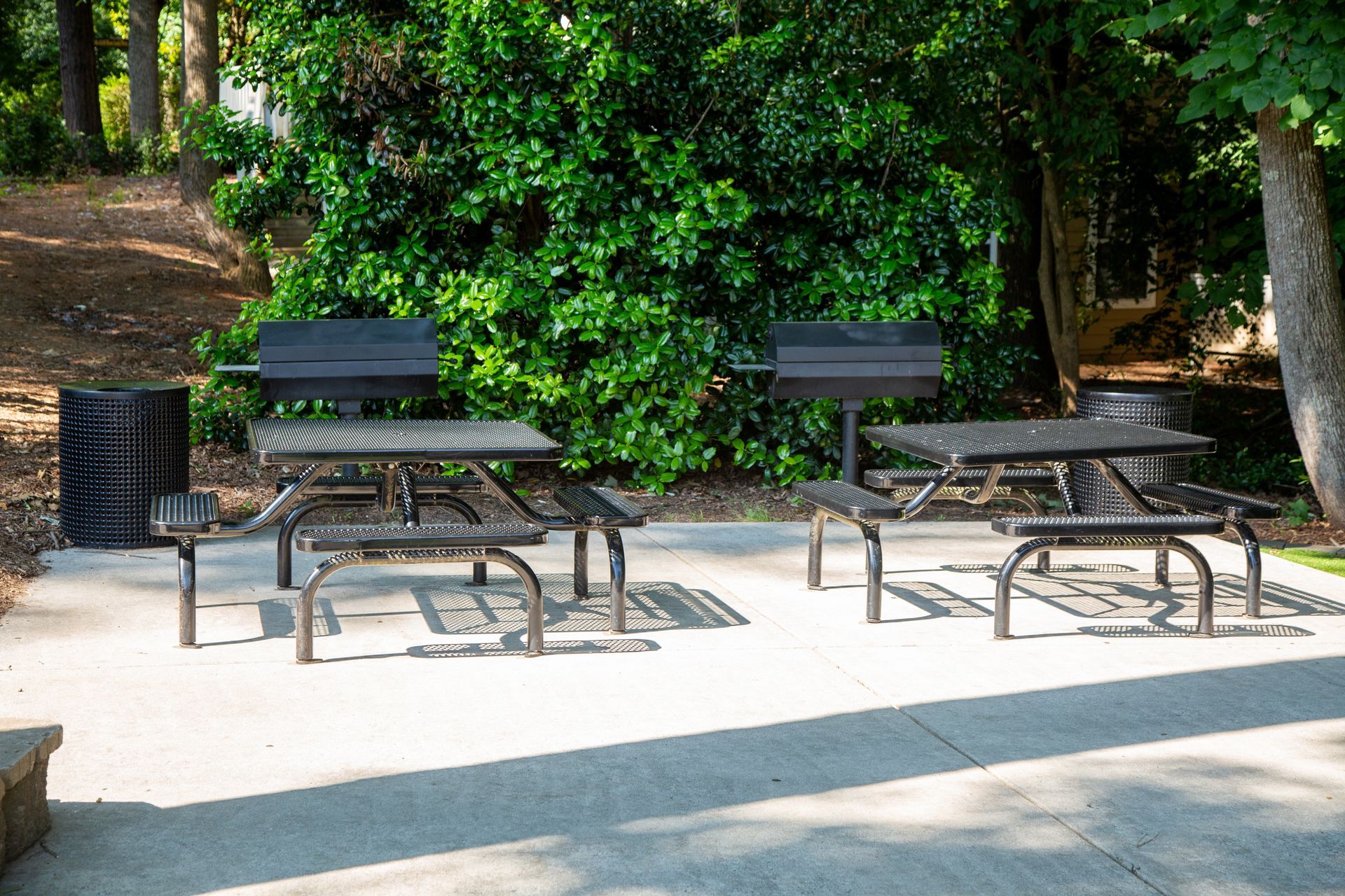 A row of picnic tables in a park with trees in the background