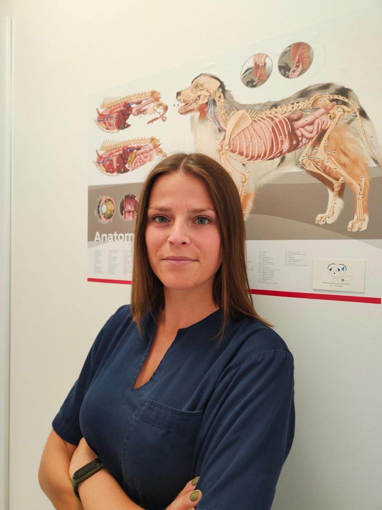 Veterinaria dott.ssa Pina Santangelo