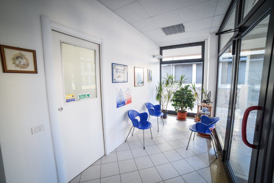 Sala d'attesa dell'ambulatorio veterinario