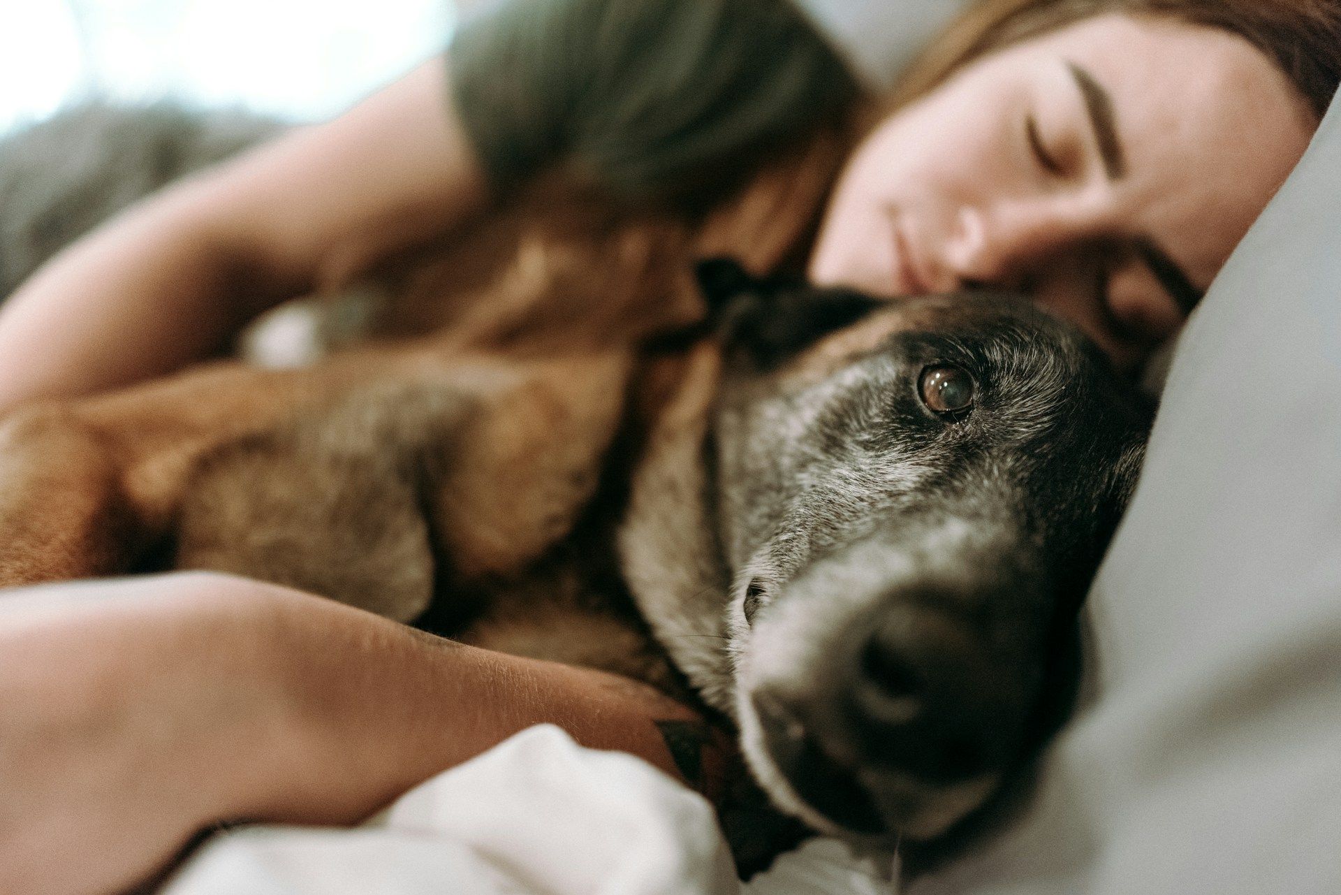 woman sleeping in bed with dog