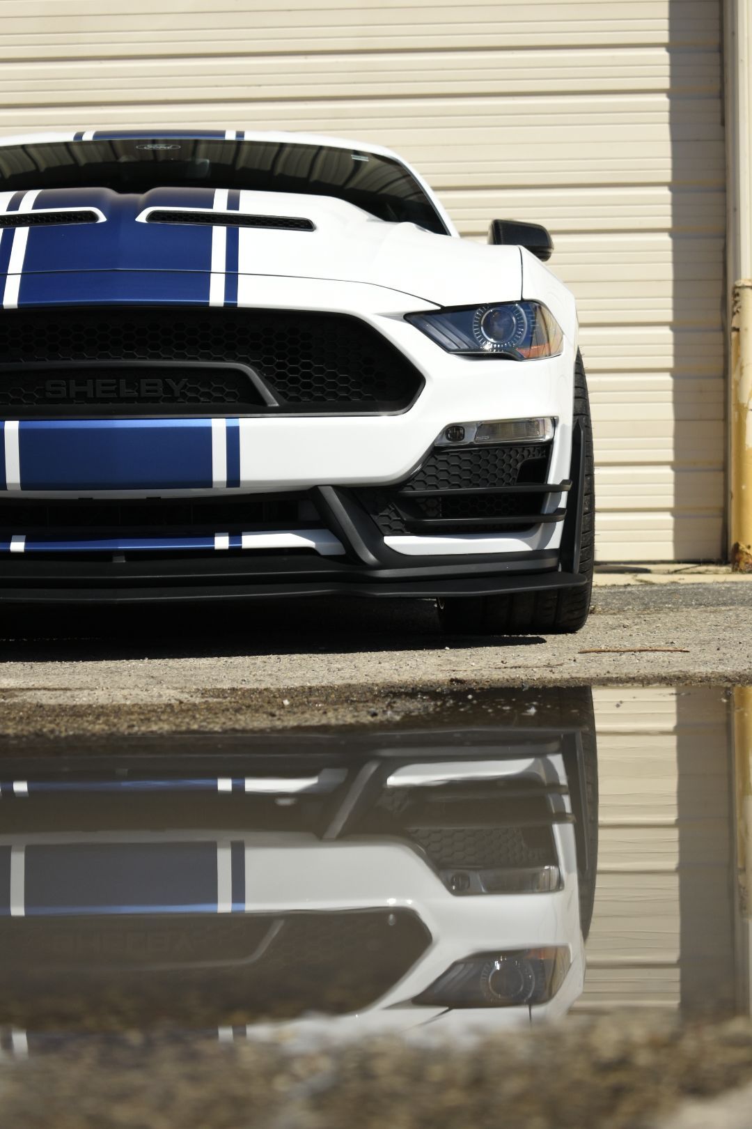 White Ford Mustang Shelby with blue racing stripes reflected in a puddle.