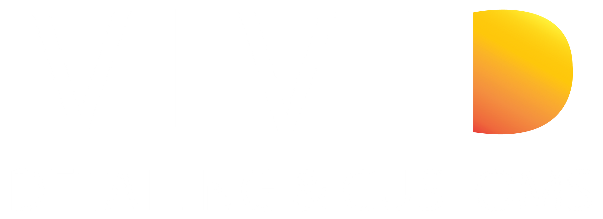 Vivi detailing and customs logo