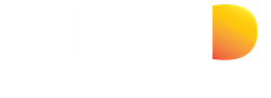 Vivi detailing and customs logo
