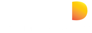 Vivi detailing and customs logo