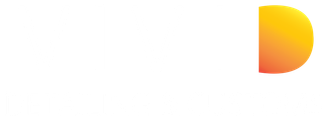 Vivi detailing and customs logo