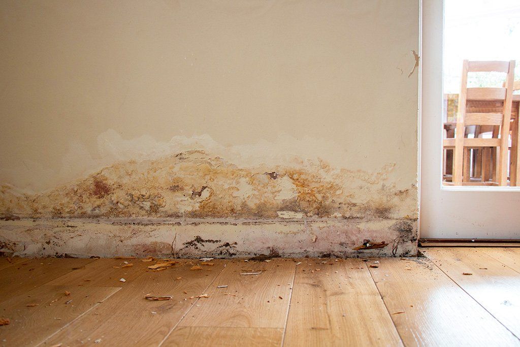 Umidità di risalita