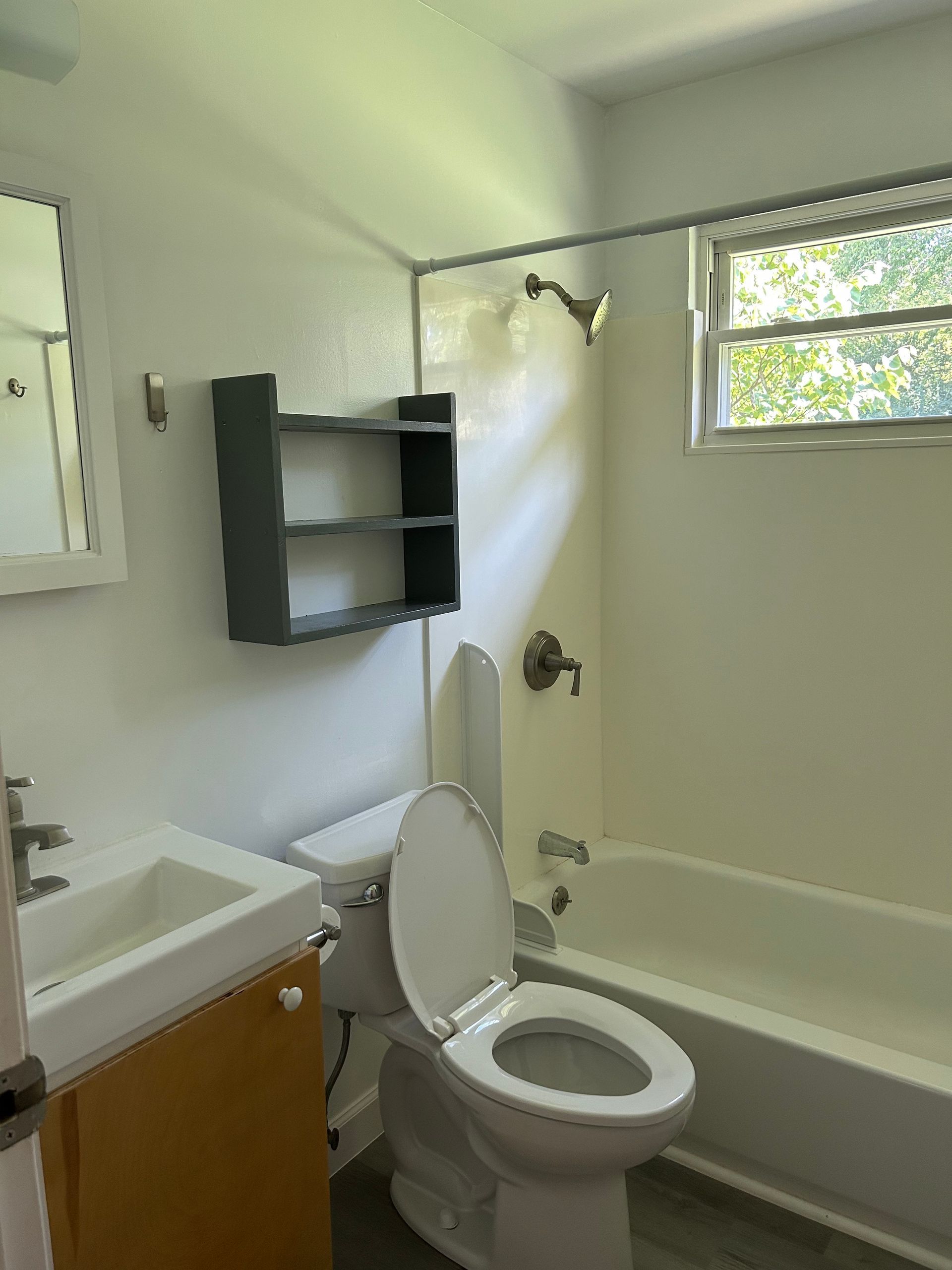 312 Brookview bathroom