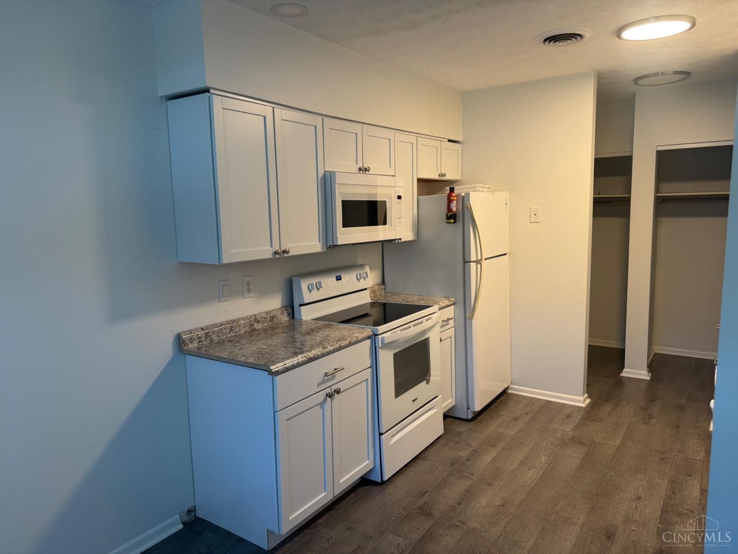 715 W Chestnut kitchen