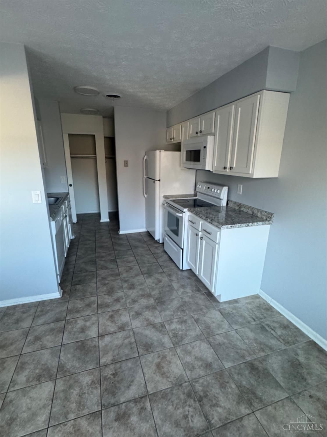 715 W Chestnut kitchen