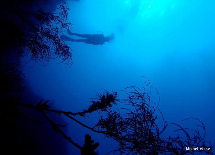 plongée profonde