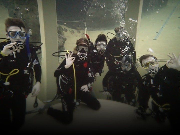 Un groupe de plongeurs pose pour une photo sous l'eau