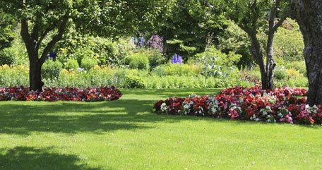 Reliable landscapers