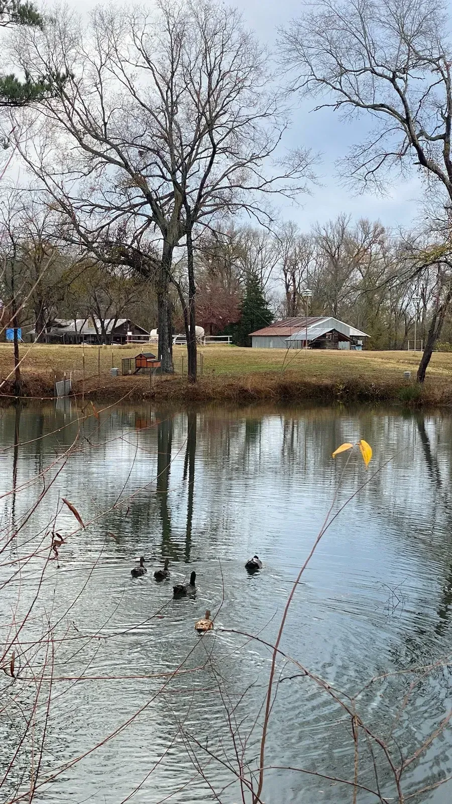 A group of men are standing around looking at a tablet.