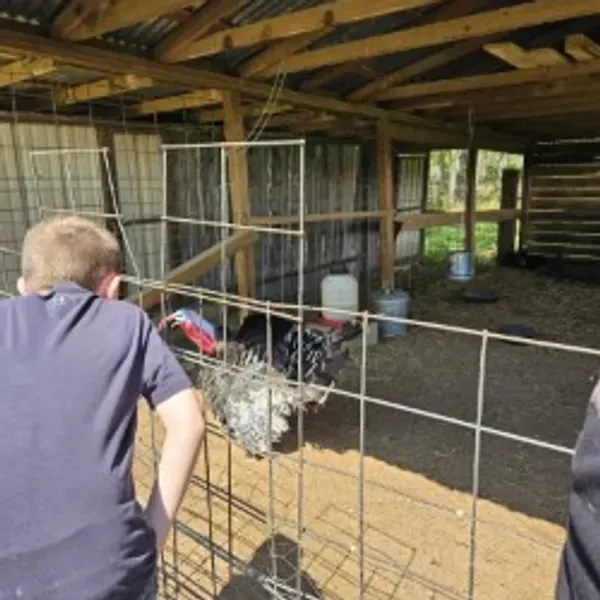 A person is holding a pineapple in a bag in a grocery store.