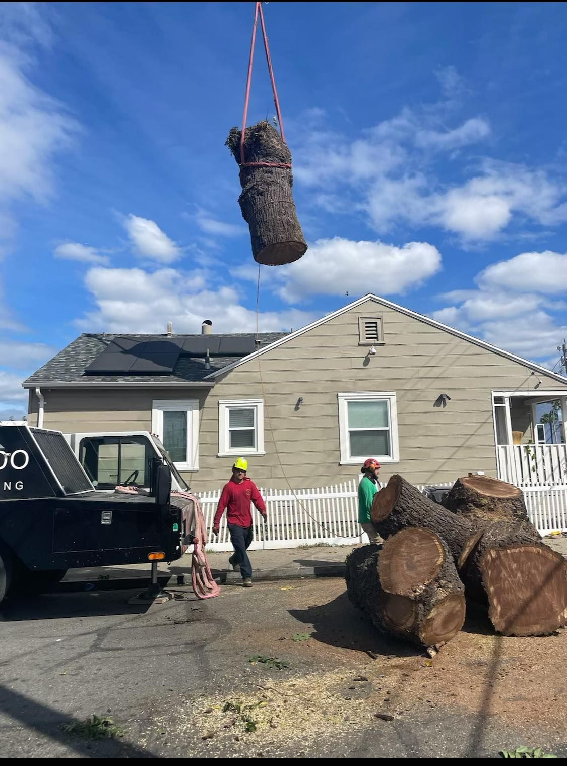 Worker cutting a tree branch using chainsaw