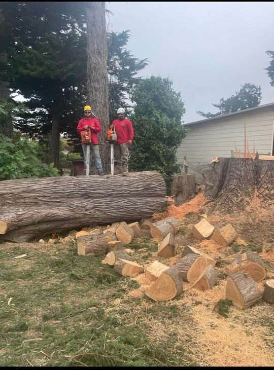 House exterior with palm trees