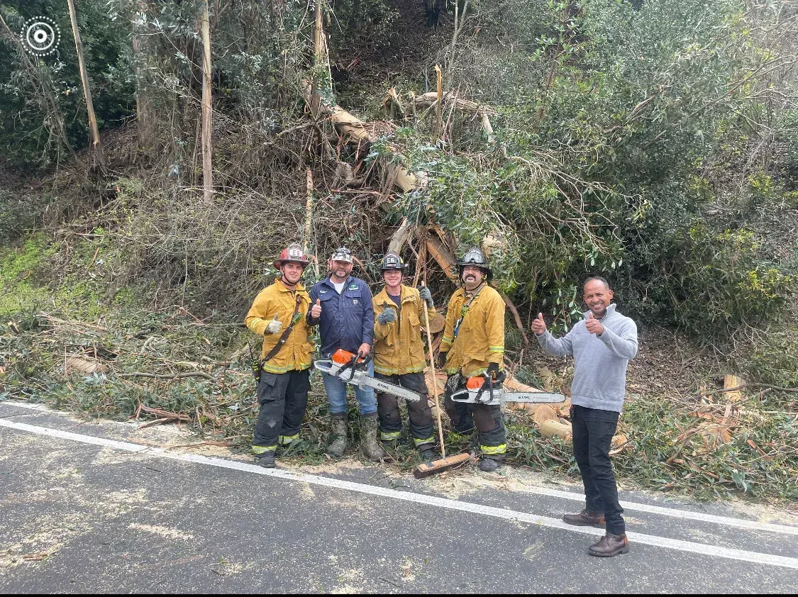 Tree service team with their equipment