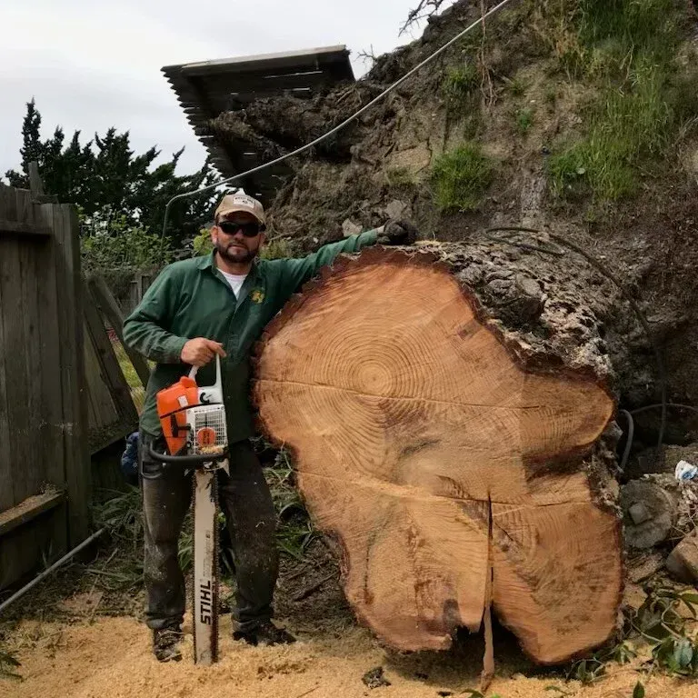 Man holding a chainsaw next to large tree trunk 