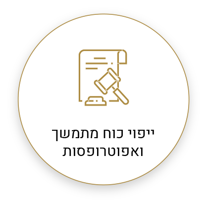 ייפוי כח מתמשך ואופטרופסות
