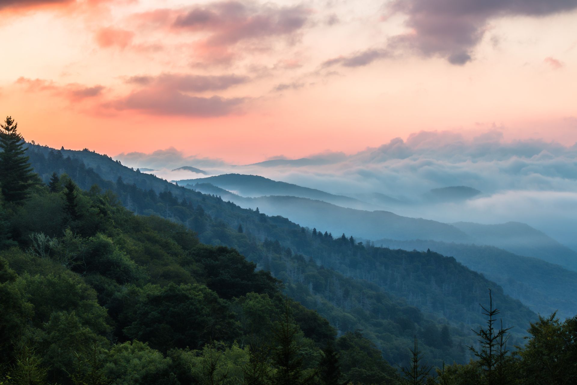 Rolling mountain range at sunrise, with layers of blue-gray peaks, clouds, and a pink-orange sky. Trees in foreground.