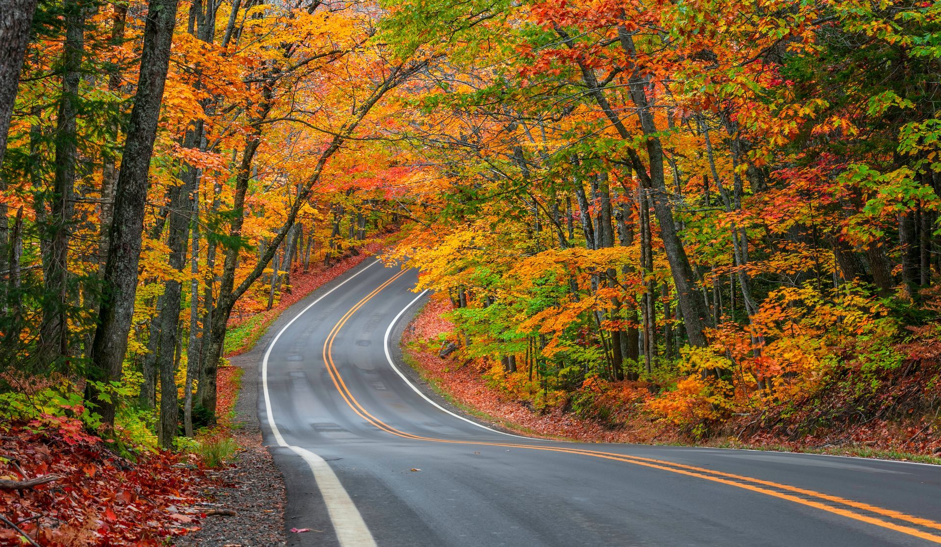 A winding road surrounded by trees in autumn