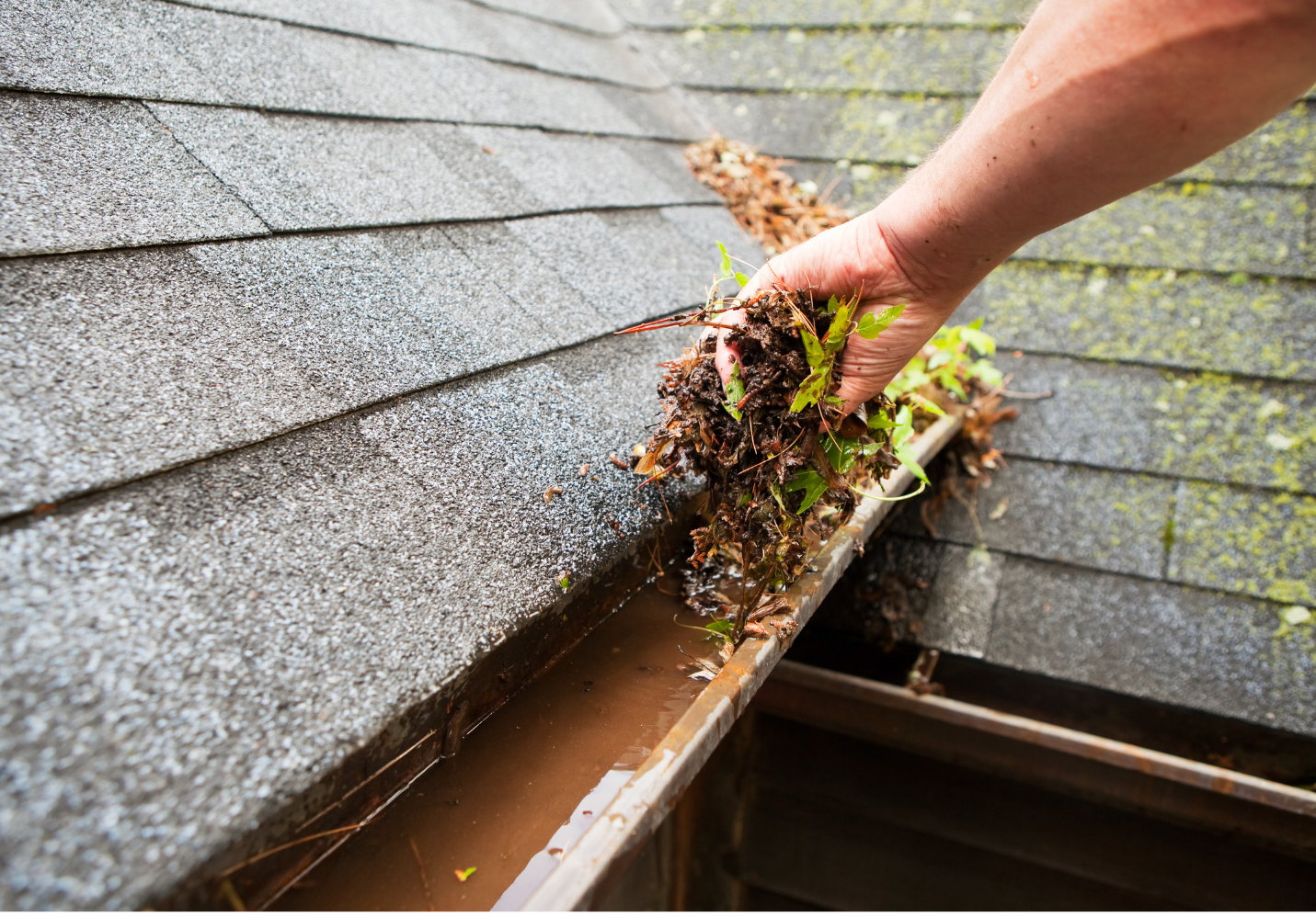 A person is cleaning a gutter on a roof.