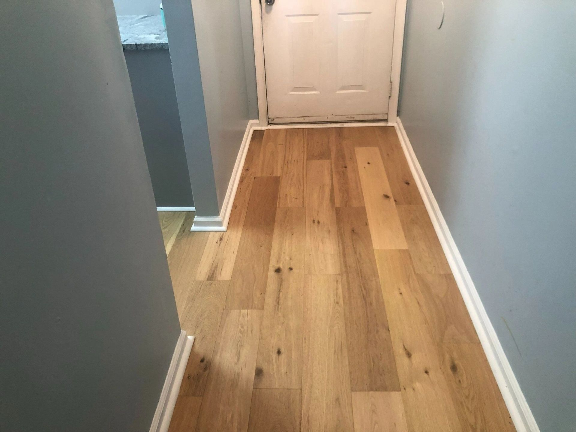 A hallway with hardwood floors and a white door.