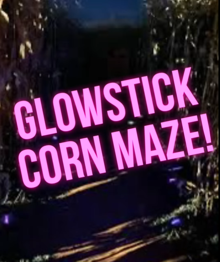 Glowstick corn maze is a glow in the dark corn maze.