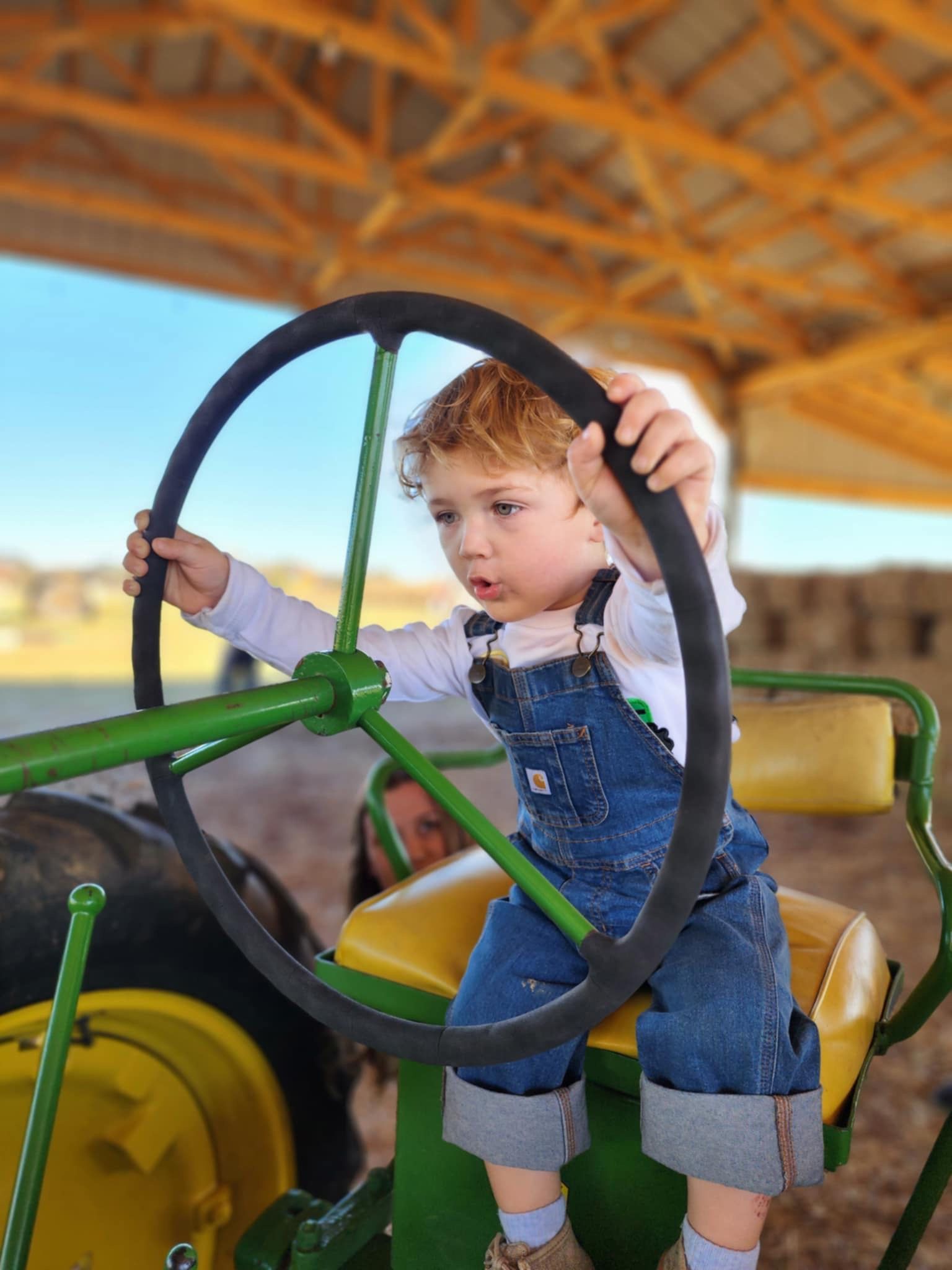 A black and white goat with blue eyes is looking at the camera.