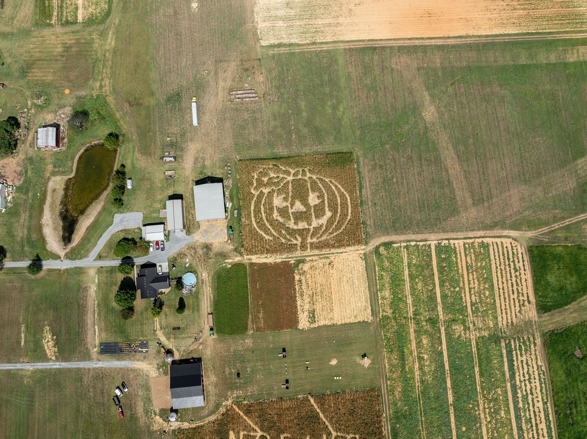 An aerial view of a pumpkin patch in a field