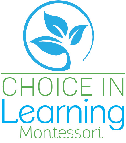 Choice in Learning Vertical Logo