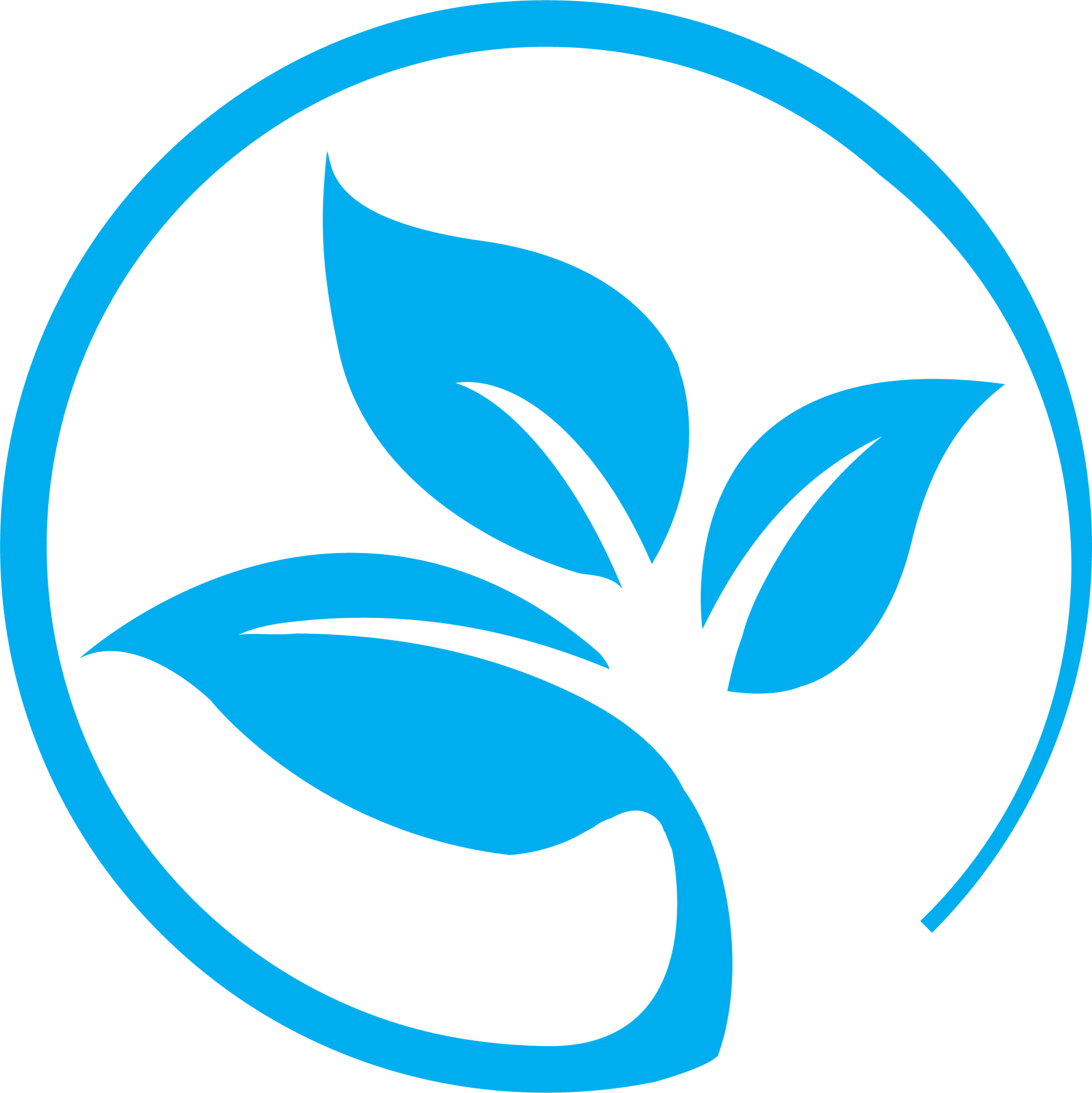 Choice in Learning Sprout Logo