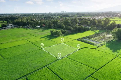 Aerial view of a square plot marked in a green rice field, surrounded by lush green trees.