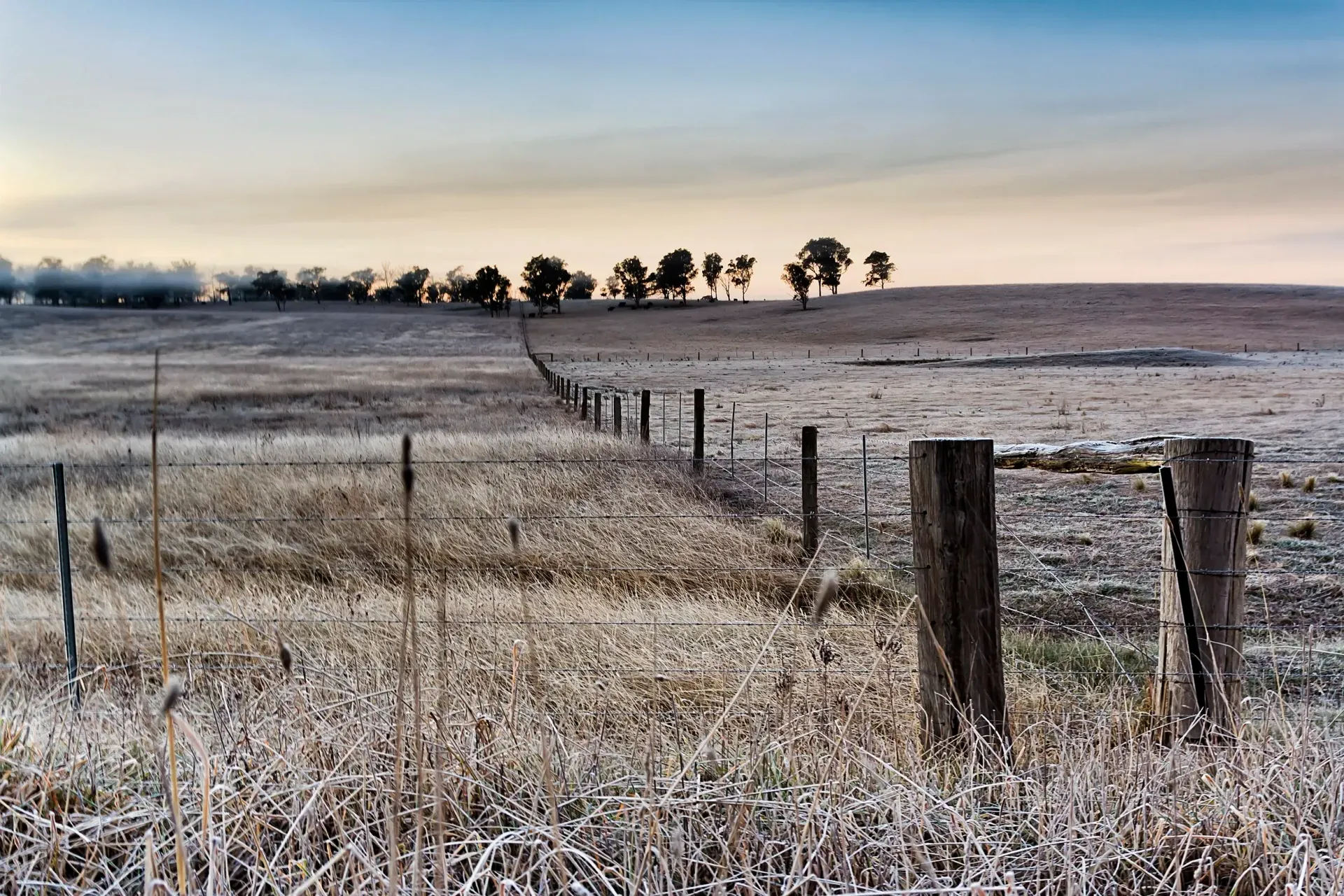 Frosty field with a wooden fence leading to a line of trees under a dusky sky.