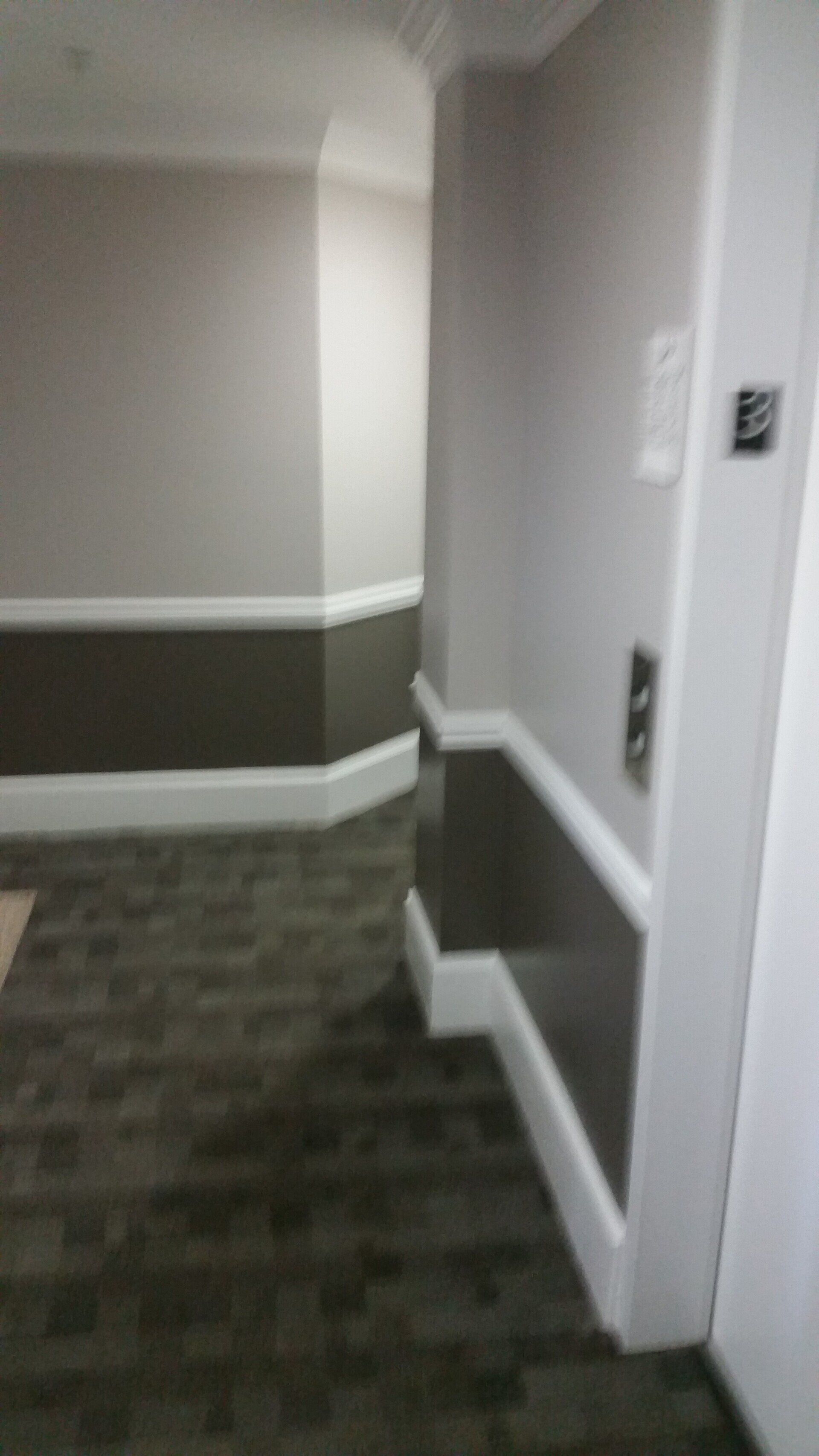A hallway with a carpeted floor and a white wall.