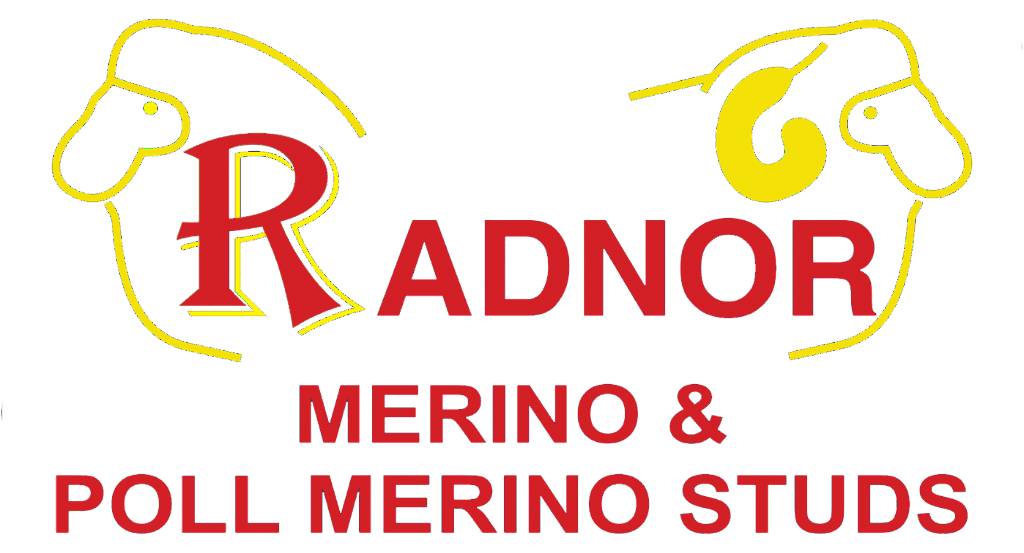 Radnor Logo