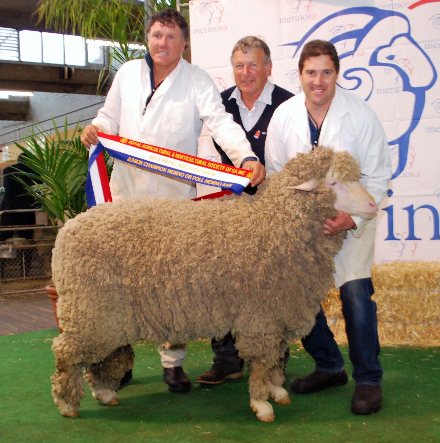 Junior Champion Trevor