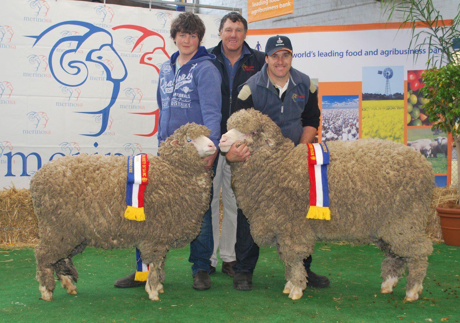 Junior Champions 2012 Radnor