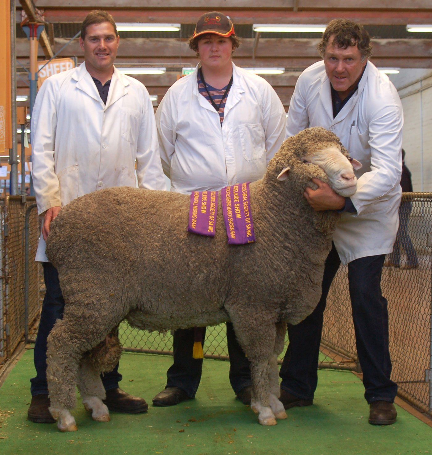 Prince Harry Reserve Supreme March Shorn Poll
