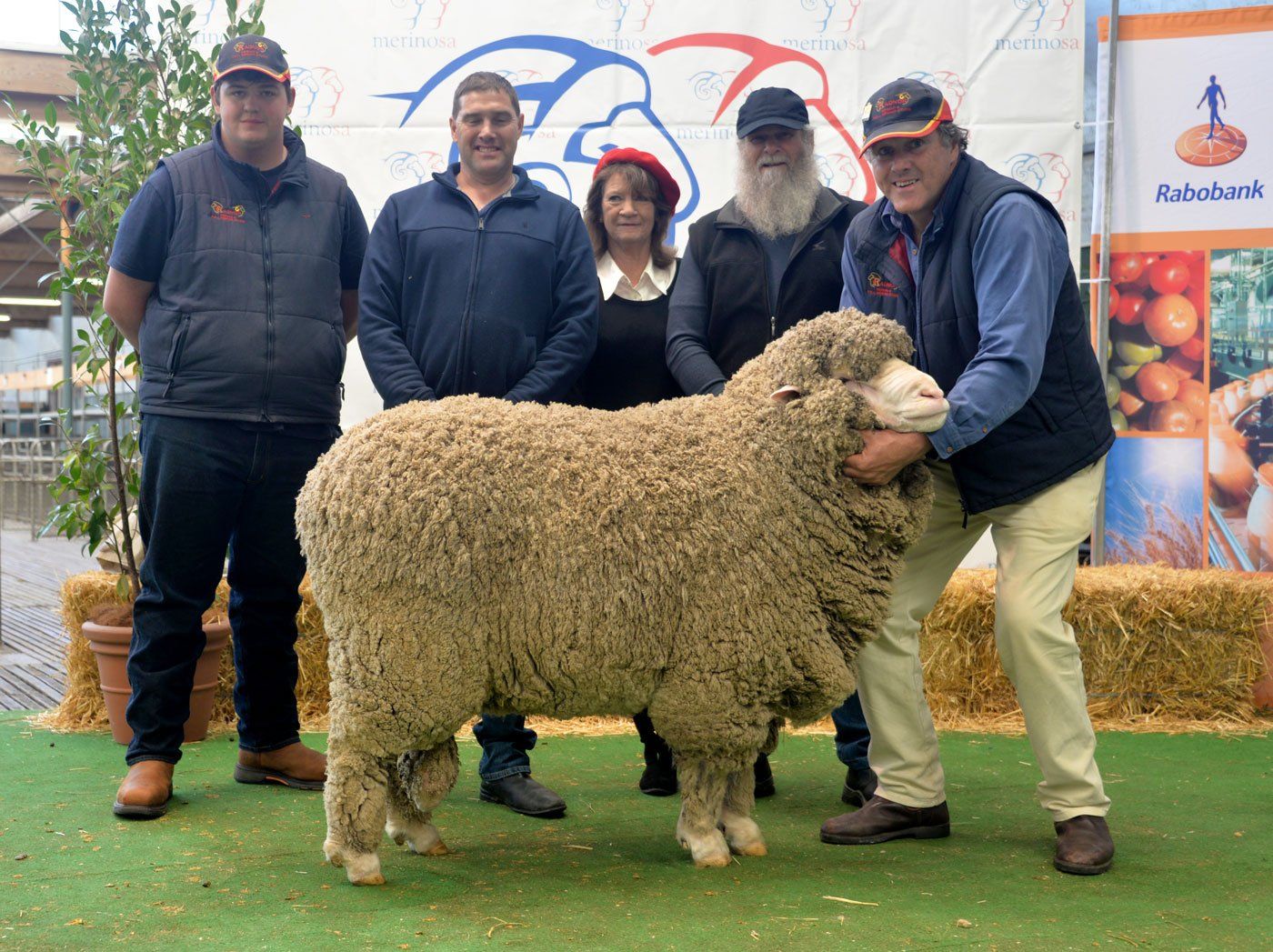 RAS 2016 Radnor Lot 77