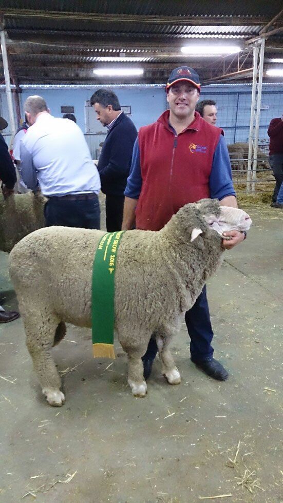 Radnor Walshy Champion Strong Poll