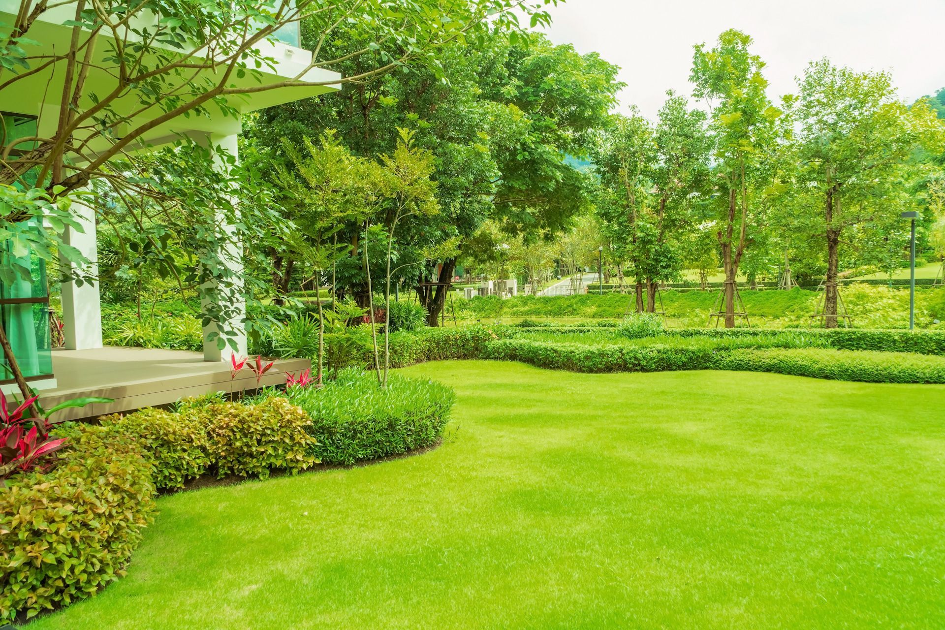 A large lush green lawn in front of a house surrounded by trees and bushes.