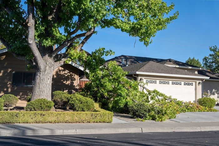 A house with a fallen tree in front of it