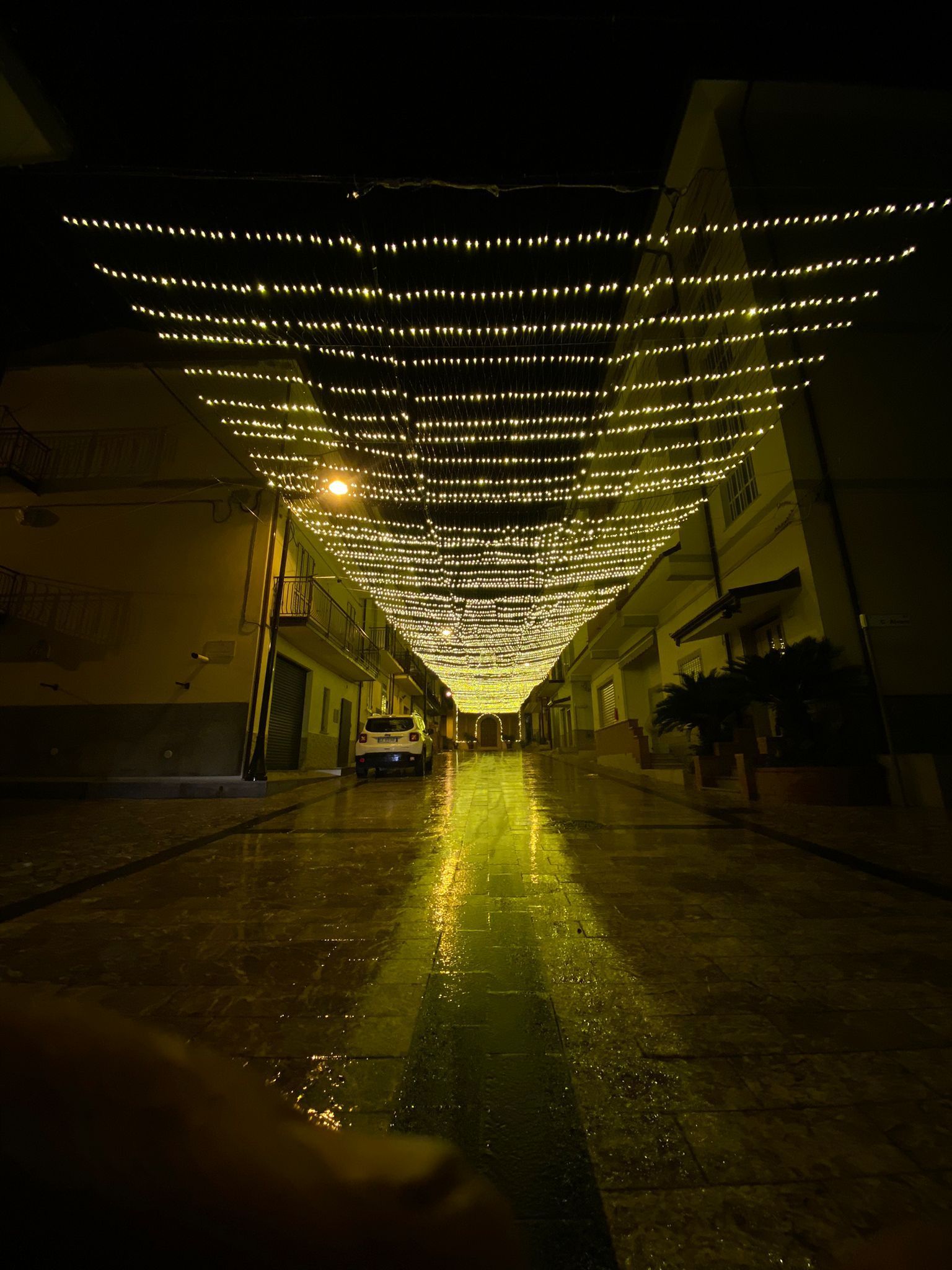 noleggio e vendita di addobbi natalizi