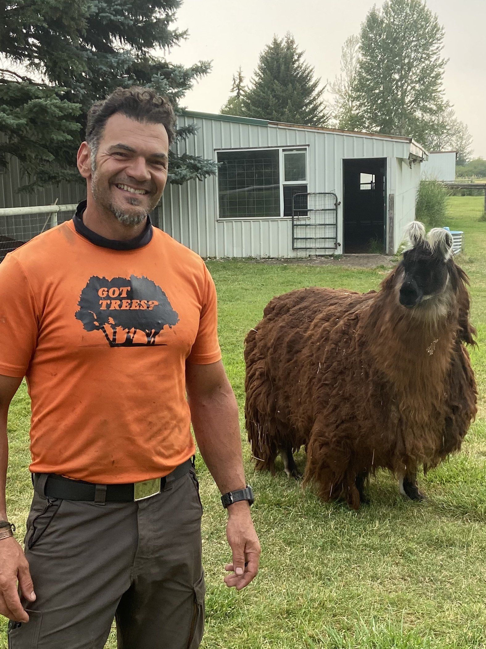 A man in an orange shirt is standing next to a llama in a field.