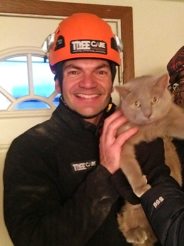 A man wearing an orange helmet holds a cat